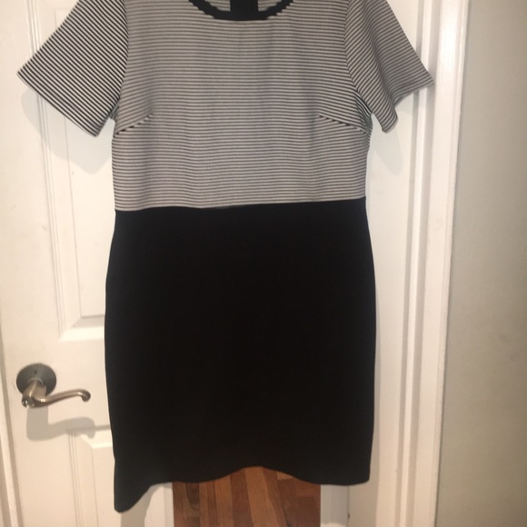 LOFT Striped Shift Dress - Picture 7 of 8